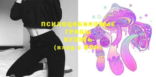 прущая мука Корсаков