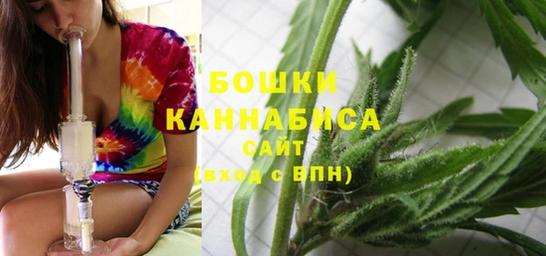 прущая мука Корсаков