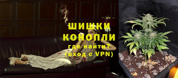 прущая мука Корсаков